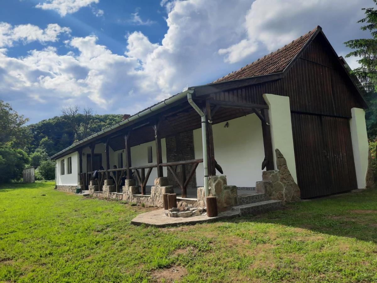 Casa De Peste Apa Pesteana Exterior photo
