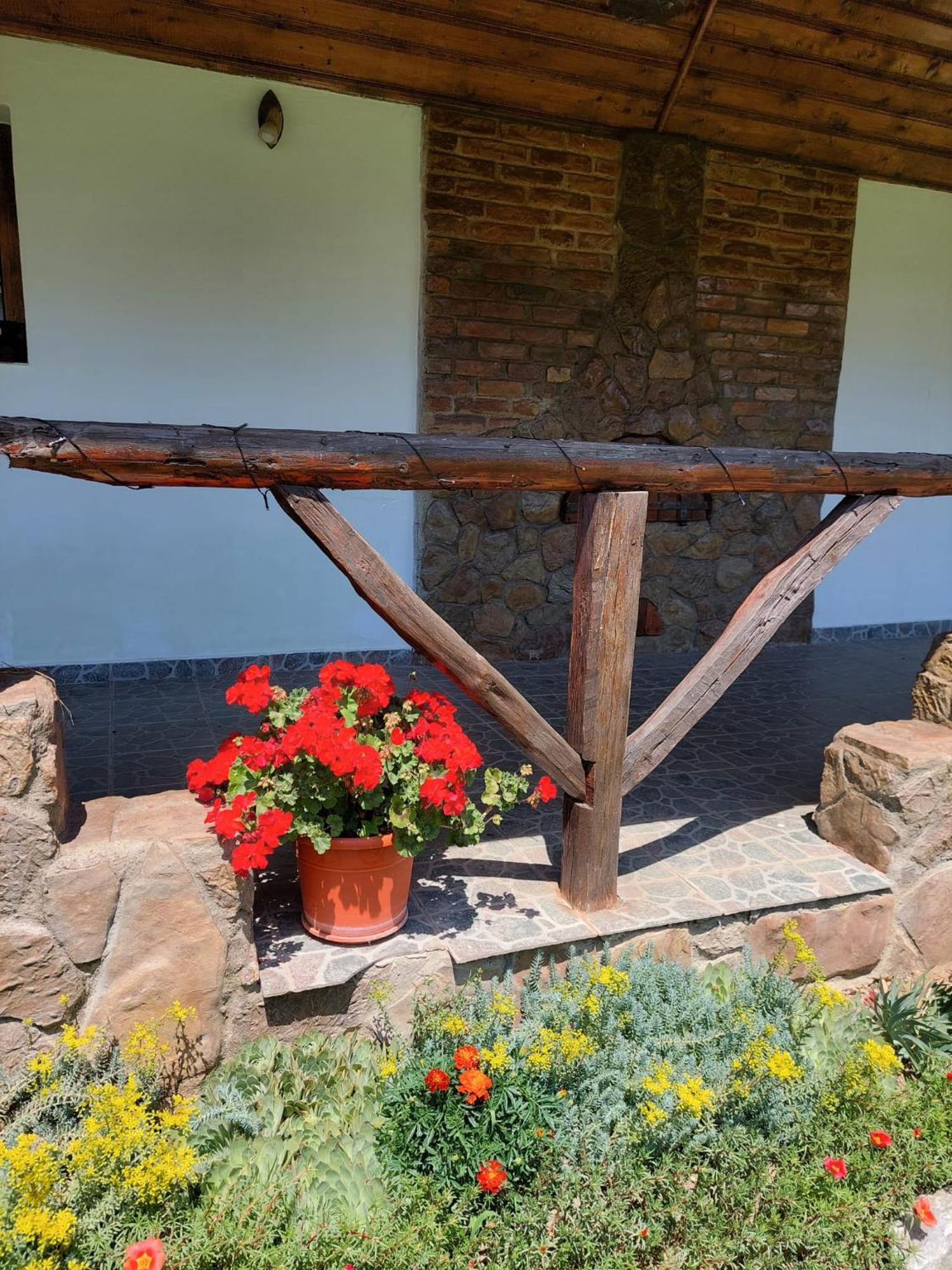Casa De Peste Apa Pesteana Exterior photo